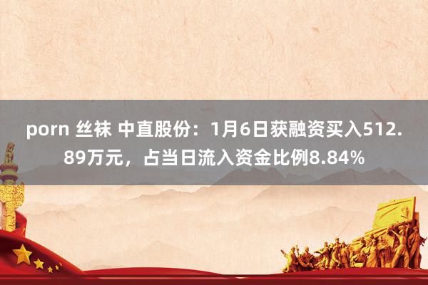 porn 丝袜 中直股份：1月6日获融资买入512.89万元，占当日流入资金比例8.84%