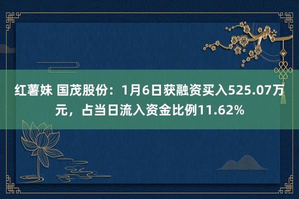 红薯妹 国茂股份：1月6日获融资买入525.07万元，占当日流入资金比例11.62%