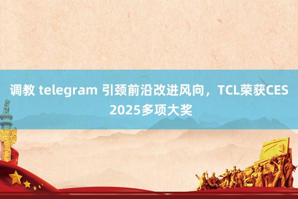 调教 telegram 引颈前沿改进风向，TCL荣获CES 2025多项大奖