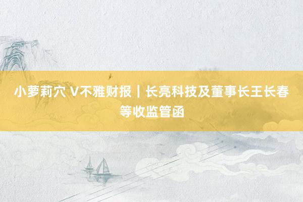 小萝莉穴 V不雅财报｜长亮科技及董事长王长春等收监管函