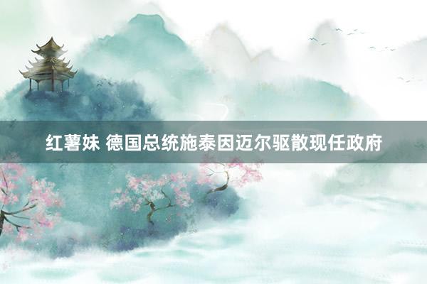 红薯妹 德国总统施泰因迈尔驱散现任政府