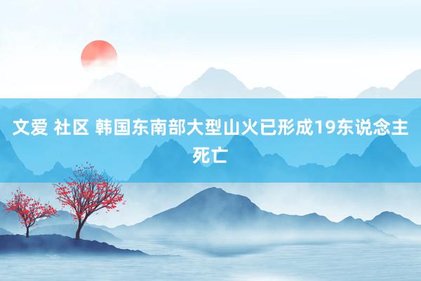 文爱 社区 韩国东南部大型山火已形成19东说念主死亡