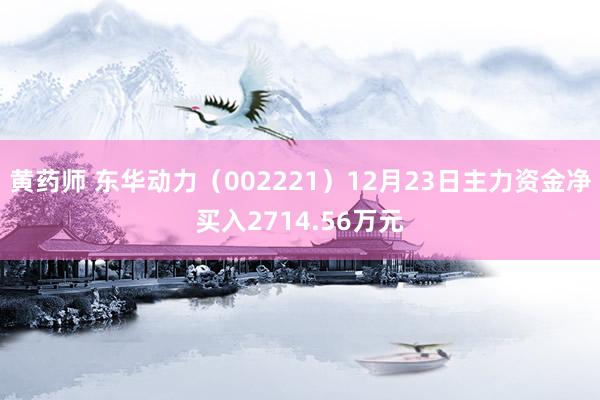 黄药师 东华动力（002221）12月23日主力资金净买入2714.56万元