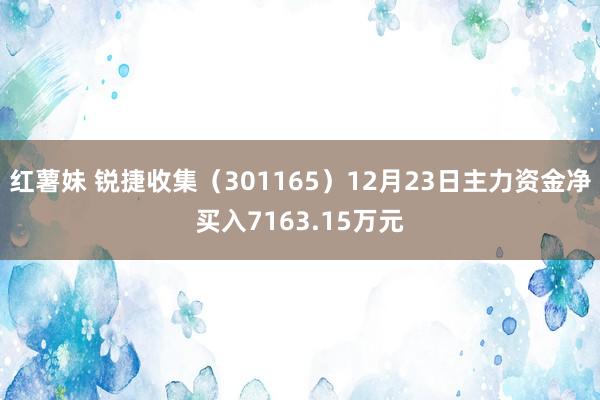红薯妹 锐捷收集（301165）12月23日主力资金净买入7163.15万元