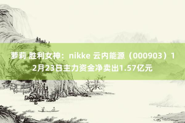 萝莉 胜利女神：nikke 云内能源（000903）12月23日主力资金净卖出1.57亿元