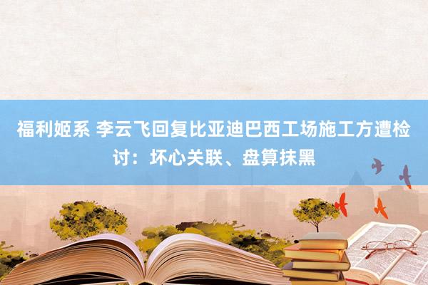福利姬系 李云飞回复比亚迪巴西工场施工方遭检讨：坏心关联、盘算抹黑