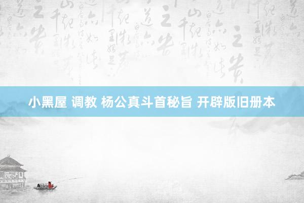 小黑屋 调教 杨公真斗首秘旨 开辟版旧册本