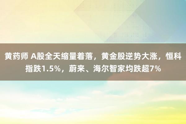 黄药师 A股全天缩量着落，黄金股逆势大涨，恒科指跌1.5%，蔚来、海尔智家均跌超7%