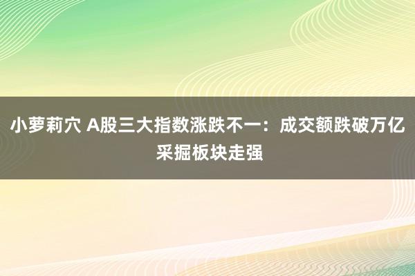 小萝莉穴 A股三大指数涨跌不一：成交额跌破万亿 采掘板块走强