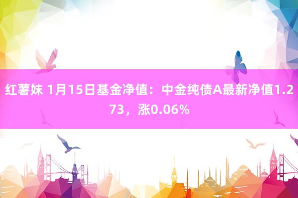 红薯妹 1月15日基金净值：中金纯债A最新净值1.273，涨0.06%
