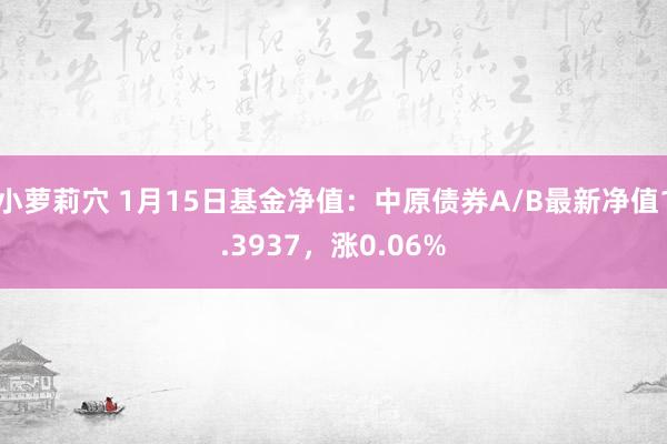小萝莉穴 1月15日基金净值：中原债券A/B最新净值1.3937，涨0.06%
