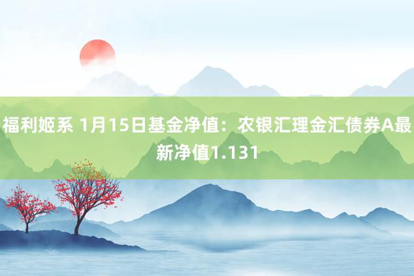 福利姬系 1月15日基金净值：农银汇理金汇债券A最新净值1.131