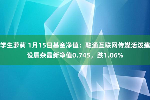 学生萝莉 1月15日基金净值：融通互联网传媒活泼建设羼杂最新净值0.745，跌1.06%