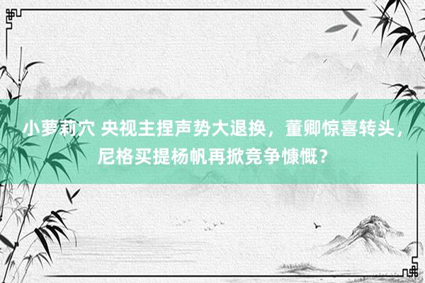 小萝莉穴 央视主捏声势大退换，董卿惊喜转头，尼格买提杨帆再掀竞争慷慨？