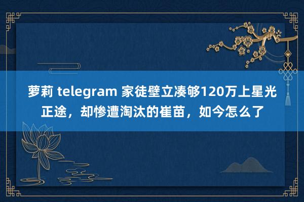 萝莉 telegram 家徒壁立凑够120万上星光正途，却惨遭淘汰的崔苗，如今怎么了