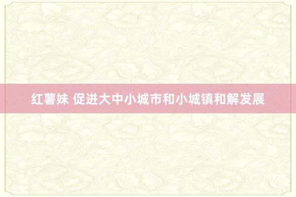 红薯妹 促进大中小城市和小城镇和解发展