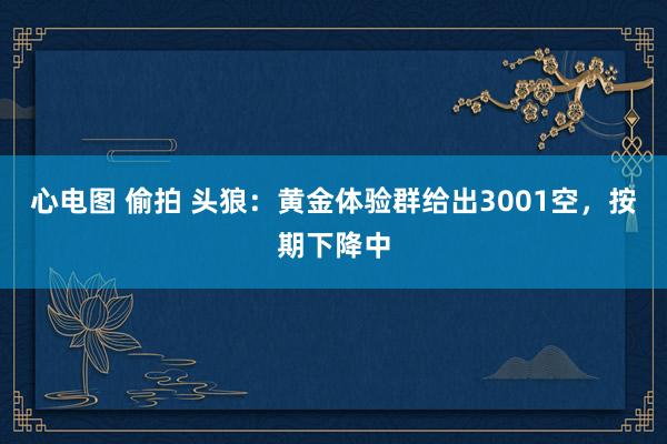 心电图 偷拍 头狼：黄金体验群给出3001空，按期下降中