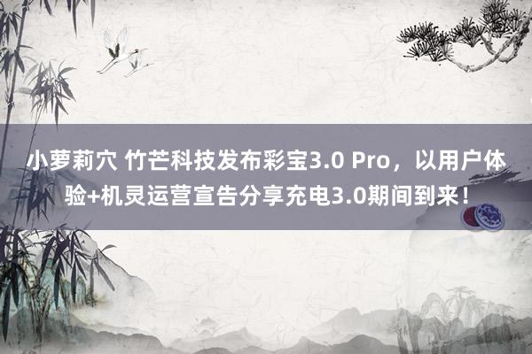 小萝莉穴 竹芒科技发布彩宝3.0 Pro，以用户体验+机灵运营宣告分享充电3.0期间到来！