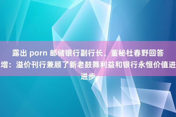 露出 porn 邮储银行副行长、董秘杜春野回答定增：溢价刊行兼顾了新老鼓舞利益和银行永恒价值进步