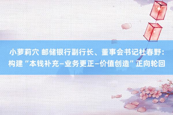 小萝莉穴 邮储银行副行长、董事会书记杜春野：构建“本钱补充—业务更正—价值创造”正向轮回