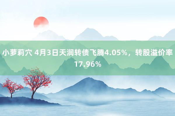 小萝莉穴 4月3日天润转债飞腾4.05%，转股溢价率17.96%