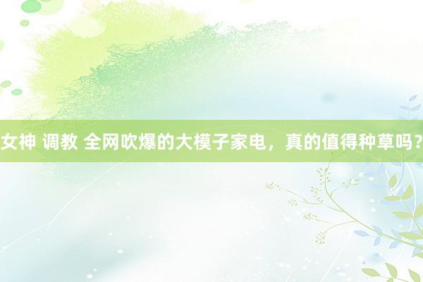 女神 调教 全网吹爆的大模子家电，真的值得种草吗？