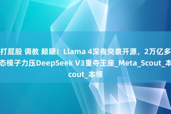 打屁股 调教 颠簸！Llama 4深夜突袭开源，2万亿多模态模子力压DeepSeek V3重夺王座_Meta_Scout_本领