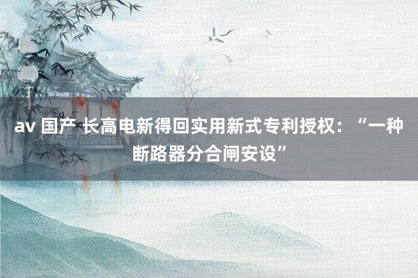 av 国产 长高电新得回实用新式专利授权：“一种断路器分合闸安设”