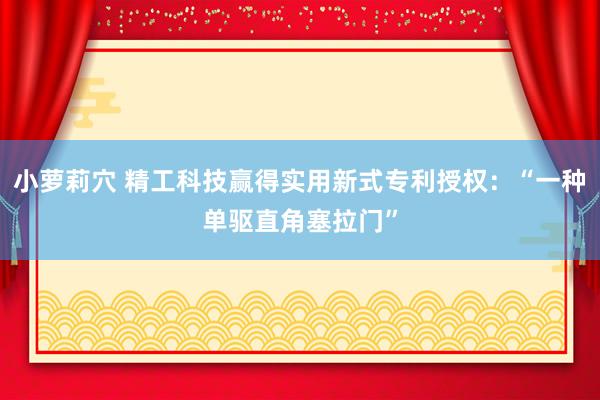 小萝莉穴 精工科技赢得实用新式专利授权：“一种单驱直角塞拉门”
