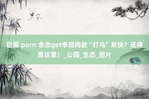 巨屌 porn 念念get李现同款“打鸟”欢快？还得是这里！_公园_生态_图片