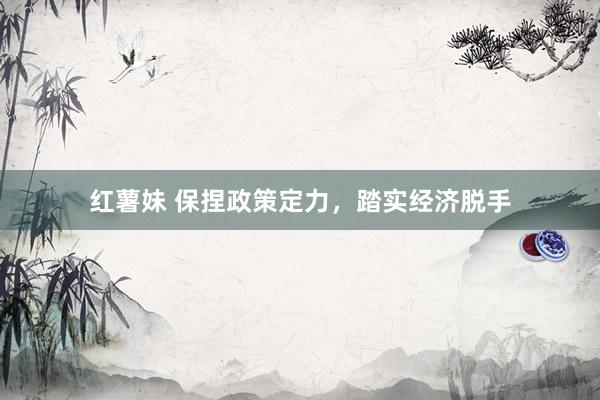 红薯妹 保捏政策定力，踏实经济脱手