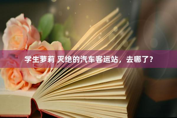学生萝莉 灭绝的汽车客运站，去哪了？
