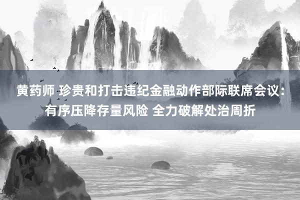 黄药师 珍贵和打击违纪金融动作部际联席会议：有序压降存量风险 全力破解处治周折