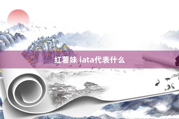 红薯妹 iata代表什么