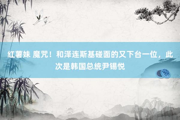红薯妹 魔咒！和泽连斯基碰面的又下台一位，此次是韩国总统尹锡悦