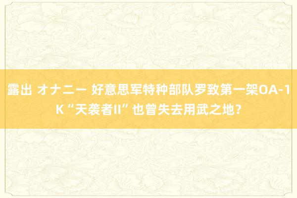 露出 オナニー 好意思军特种部队罗致第一架OA-1K“天袭者II”也曾失去用武之地？