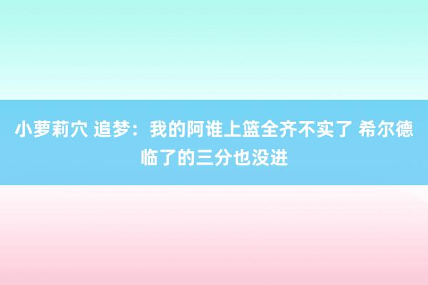 小萝莉穴 追梦：我的阿谁上篮全齐不实了 希尔德临了的三分也没进