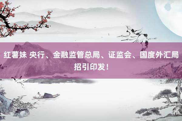 红薯妹 央行、金融监管总局、证监会、国度外汇局招引印发！