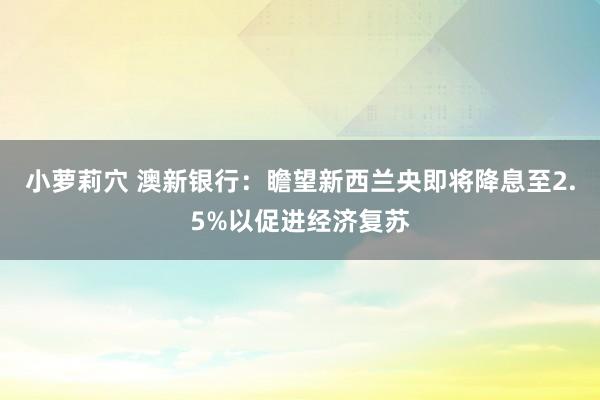 小萝莉穴 澳新银行：瞻望新西兰央即将降息至2.5%以促进经济复苏