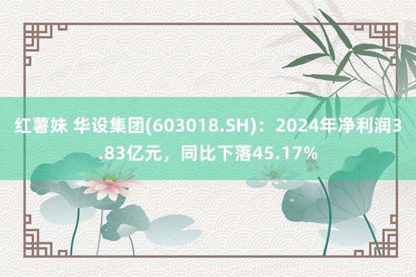 红薯妹 华设集团(603018.SH)：2024年净利润3.83亿元，同比下落45.17%