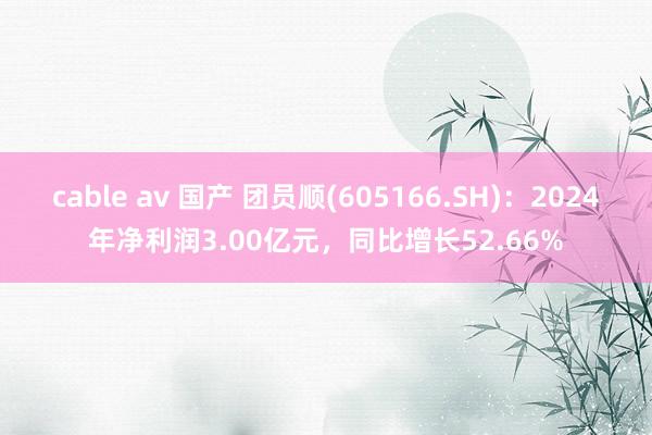cable av 国产 团员顺(605166.SH)：2024年净利润3.00亿元，同比增长52.66%