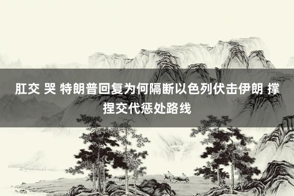 肛交 哭 特朗普回复为何隔断以色列伏击伊朗 撑捏交代惩处路线