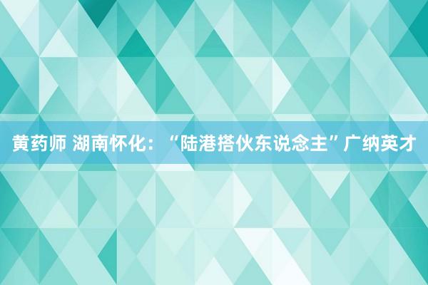 黄药师 湖南怀化：“陆港搭伙东说念主”广纳英才