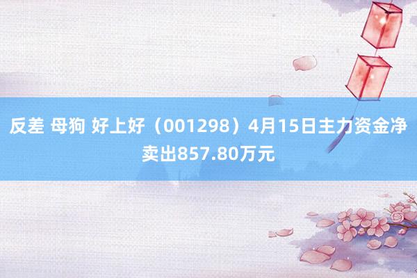反差 母狗 好上好（001298）4月15日主力资金净卖出857.80万元