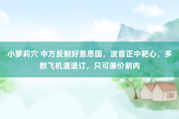小萝莉穴 中方反制好意思国，波音正中靶心，多数飞机遭退订，只可廉价割肉