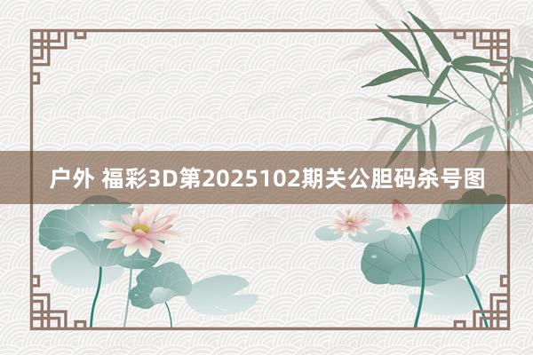 户外 福彩3D第2025102期关公胆码杀号图