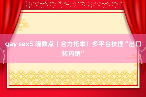 gay sex5 晓数点｜合力托举！多平台扶捏“出口转内销”