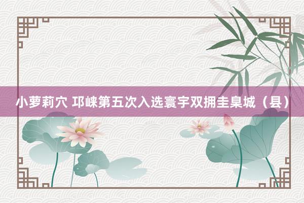 小萝莉穴 邛崃第五次入选寰宇双拥圭臬城（县）