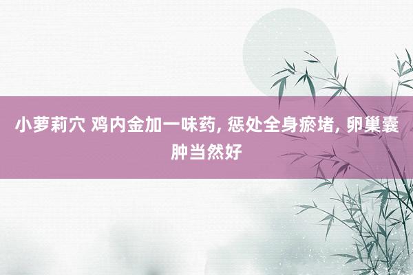 小萝莉穴 鸡内金加一味药, 惩处全身瘀堵, 卵巢囊肿当然好
