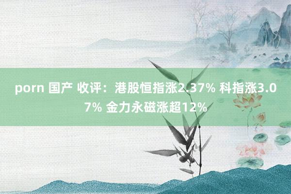 porn 国产 收评：港股恒指涨2.37% 科指涨3.07% 金力永磁涨超12%